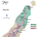 황금의 언덕 부르고뉴 와인 이미지