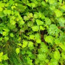 길정해농장 이미지