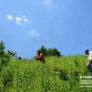 리버빌 이미지