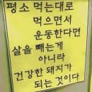 피자스쿨용인 네이버블로그