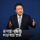 원더풀위켄드 | 콘서트 초짜의 두아리파 내한 콘서트 Radical Optism 후기 (with 고척스카이돔)