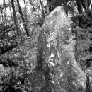 보물농장 이미지