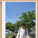 썬부띠끄 Daum카페