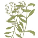 베스트건강메디칼 이미지