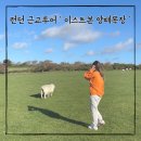 구야목장 | 영국 런던 근교투어 ‘ 이스트본 양떼목장 ’ 흔하지 않는 이국적인 곳