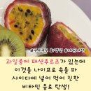 쿠우쿠우화명점 이미지