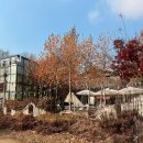 미음나루음식문화특화거리 | 남양주 파스타 피자 수석동 브런치맛집 가든갤러리 대형견애견동반