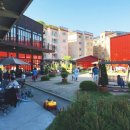 남양주 애견샵 이미지