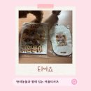 커플티 - 북구 용주로30번길 71 | 우정티셔츠제작, 우리 강아지와 함께 입은 티싸요 커플티 후기