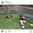 파드마투어 이미지