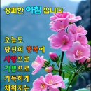 화이팅 - 617374 | 화이팅