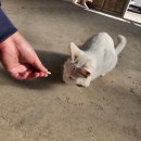 고흥 농장 이미지