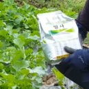 금강3농장 이미지