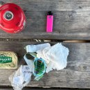 Little Bear‘s Big Trip 이미지