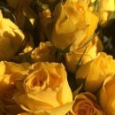 빈 하루 이미지