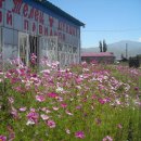 키르키즈스탄 여행기2 (이경우)-이쉬쿨 호수(촐폰아타,카라콜) 이미지