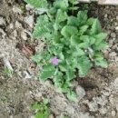 태인농장2 이미지