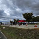 조야초등학교 | 대구 하중도 코스모스 &amp; 2025 대구정원박람회 행사전 방문후기!