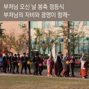 보광메디