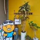 GB프렌즈 골프 이미지