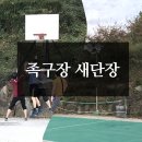 계룡산등산로계곡