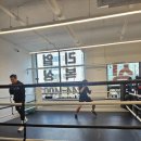 더리얼복싱짐 | 운동 재미 없던 제가 웃으면서 다니는 수원 리얼복싱짐 이야기