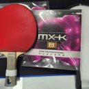 탁구(취미과정 / 야간) | 탁구 러버(티바 MX-K)교체 새로운 취미생활 아이탁구!