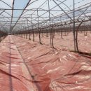 청비농장 이미지