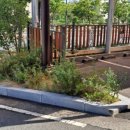 공동직장 푸른들어린이집 이미지