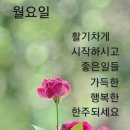 베트남 다낭 여행ㅡ 한강 야간 유람선 뱃놀이 ㅡ 호이안 투본강 투본강위에ㅡ 세워진 유네스코 구시가지ㅡ 그린 코코넛 ㅡ 바구니뱃놀이 이미지