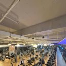 스파리스 이미지