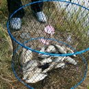 낚시와사람 이미지