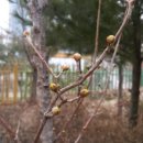 자란초등학교 이미지