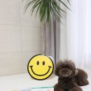 새로나약국 | 동물약국 펫팜 강아지 구충제 심장사상충약 복용방법까지