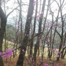 별헤는 바다민박 | 여수펜션 추천 깔끔하다고 전해라 별헤는바다