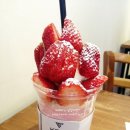 대구서화사 | 대구 동성로 카페인 반반피주키 냠* 색다른 맛 Hama