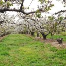 별더농장 이미지