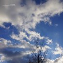 마곡리 마을회관 이미지