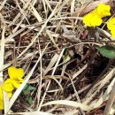 그린목장 이미지