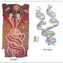 복희 여와도와 DNA나선구조 이미지