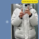 태형수지 | [月刊] 202506