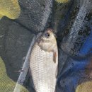 독정낚시터 이미지