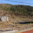 숲실초등학교 이미지