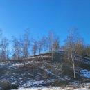 새봄농장(3) 이미지