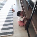 합성동281 | 2. 11 - 13 / 9개월, 이유식3회시작