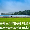 월드팜 | 구멍가게오픈 축하해 주세요