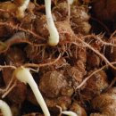 현옥농장 이미지