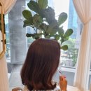 아마빌레헤어살롱
