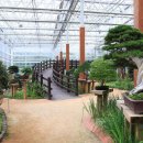 선바위(분재전시관) 이미지