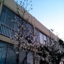 무안군청 이미지